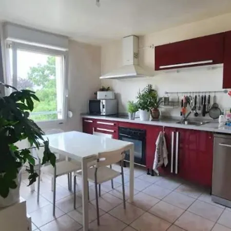 Le Cocon & Apartmán Nancy